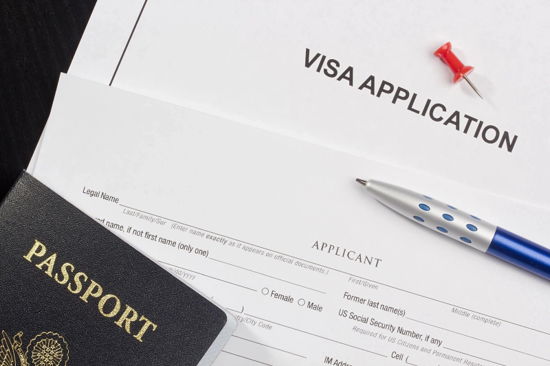 Visa en línea